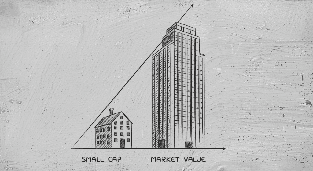 Why Small Cap Doesn't Always Mean Small Company